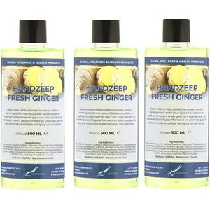 Handzeep Fresh Ginger 500 ml - set van 3 stuks