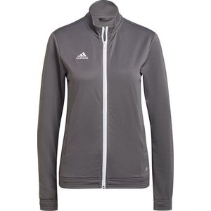 adidas Entrada 22 TK Jacket Dames - sportvest - Grey