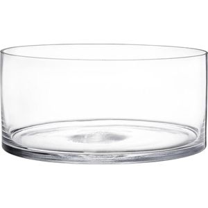 Cilinderglas vaas 10 cm hoog x 20 cm breed - decoratieve bloemenvaas voor bruiloften en evenementen - helder