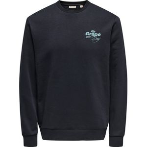 Only & Sons - ONSALFRESCO REG CREW NECK - Vest