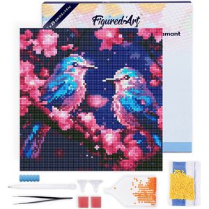Figured'Art Mini Diamond Painting set Volwassenen 25x25 cm met lijst Glinsterende Blauwe Vogels - 5D DIY Art full drill ronde diamant - Canvas al ingelijst