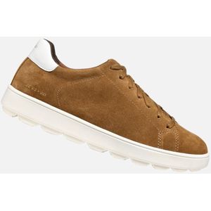 GEOX - SPHERICA ECUB-1 - Sneakers - Karamel - Suède