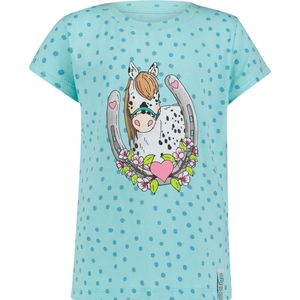 STERRE-Turqoise-110/116