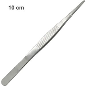Precisie roestvrijstalen rechte pincet met punt-tip voor diverse toepassingen (10 cm)