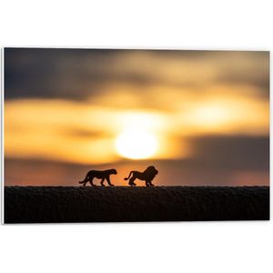 Forex - Silhouet van Miniatuur Beeldjes van Leeuwen met Zonsondergang - 60x40cm Foto op Forex