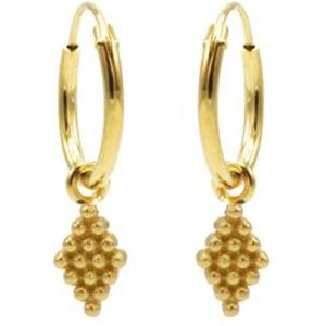 Karma symbols Oorring grapes goud M2948