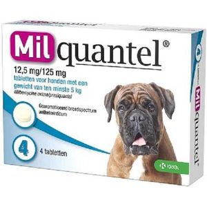 Milquantel Hond (12.5 mg) - 2 tabletten