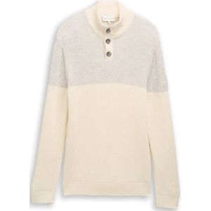 TOM TAILOR Trui  taupe / wolwit