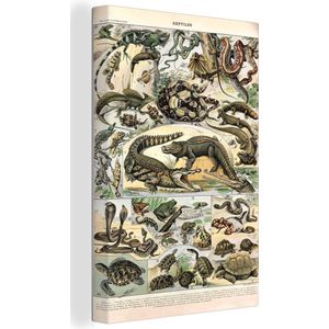 Canvas - Dieren - Reptielen - Natuur - Design - Retro - Muurdecoratie - Canvasdoek - 40x60 cm