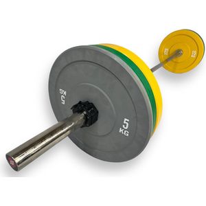 Padisport - Olympische Halterset - Halterset - 80 KG - Olympische Halterstang - Barbell Set - Barbell Met Gewichten - Halterstang Met Gewichten