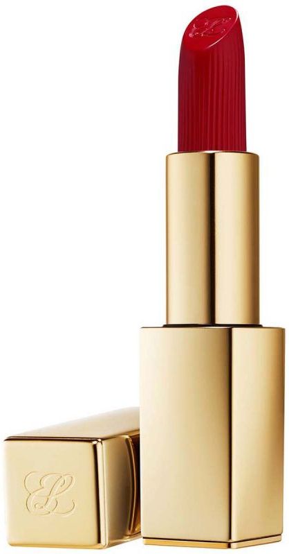 Estée Lauder Pure Color Lipstick Matte Lead You On