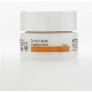 Dr. Hauschka Lippenbalsem