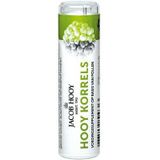 Jacob Hooy Hooy Korrels