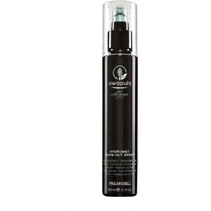 Paul Mitchell - Awapuhi Wildginger Hydromist Spray 150ml