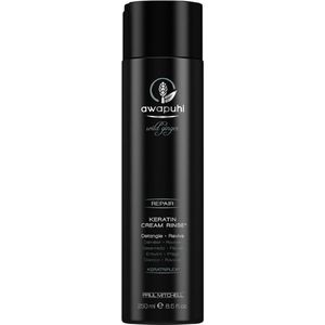 Paul Mitchell - Awapuhi Wild Ginger - Crème Spoeling - 250 ml - Shampoo