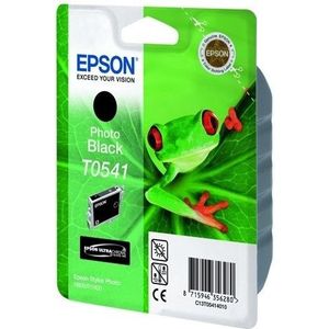 Epson T0541 inktcartridge foto zwart (origineel)