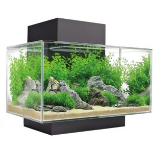 Fluval Edge I 2.0 aquarium Zwart - 23L