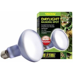 Exo Terra Neodymium Daglicht Warmtespot 150W/R30