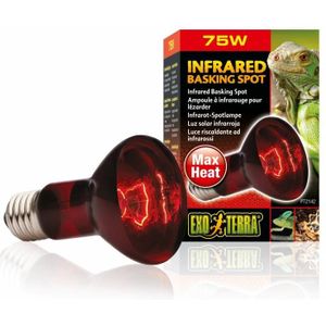 Exo Terra - Warmtelamp - Reptielen - Ex Infrarood Warmtespot R20 75w - 6,5x6,5x10cm - 1st