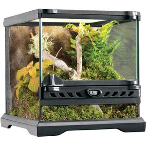 Exo Terra Glas Terrarium | 20 x 20 x 20CM Met achterwand