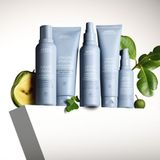 Aveda Hair Care Styling Smooth InfusionPerfectly Sleek