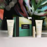 Aveda Moisture Travel Trio