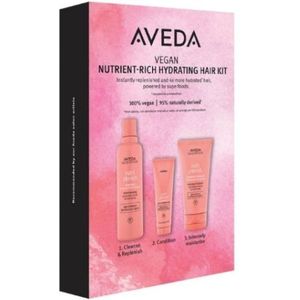 Aveda Nutriplenish Nutrient-Rich Hydrating Hair Kit