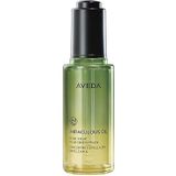 Aveda - be curly advanced - Haarolie - 50 ml