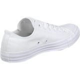 Converse Chuck Taylor All Star Seasonal Ox Monocrome Sneaker