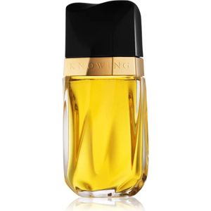Estee Lauder wissend Knowing