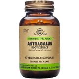 Solgar Astragalus Root Extract Capsules