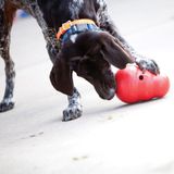 Kong Snack Dispenser Wobbler - Speelgoed Hond - maat S - 15 cm - Rood