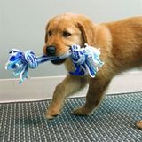 KONG Rope Ring Puppy Assorted Md