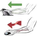 Fellowes Penguin muis Kantoor Ambidextrous RF Draadloos Laser 1200 DPI