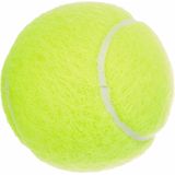 DUNLOP Tennisbal Fort All Court TS - blikje met 4 ballen