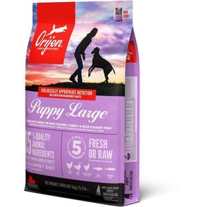 Het beste vers vlees voor honden