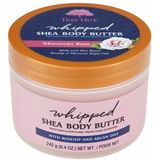 Tree Hut Moroccan Rose Whipped Shea Body Butter - Bodylotion - Bodycrème - Huidverzorging - 240g