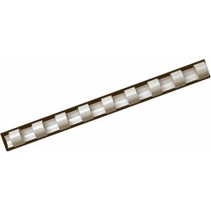 Fellowes Plastikbinderücken A4 21 Ringe weiß 22mm VE=50 Stück