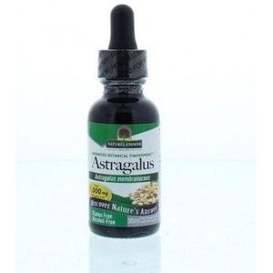 Natures Answer - Astragalus Extract - Alcoholvrij - Vloeibaar - Glazen Flesje met Pipet