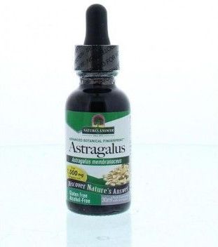 Natures Answer - Astragalus Extract - Alcoholvrij - Vloeibaar - Glazen Flesje met Pipet