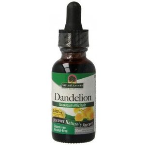 Paardenbloem Extract - Alcoholvrij - 1000 mg - Natures Answer