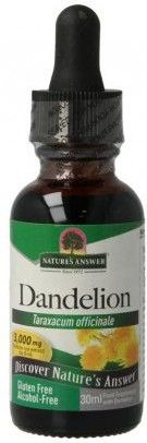 Paardenbloem Extract - Alcoholvrij - 1000 mg - Natures Answer