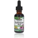 Natures Answer - Echinacea Extract - Alcoholvrij - Kruidenpreparaat