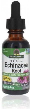 Natures Answer - Echinacea Extract - Alcoholvrij - Kruidenpreparaat