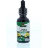 Natures Answer - Gember Extract - Alcoholvrij - Vloeibaar - Glazen Flesje met Pipet