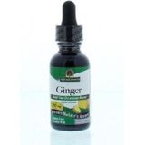 Natures Answer - Gember Extract - Alcoholvrij - Vloeibaar - Glazen Flesje met Pipet