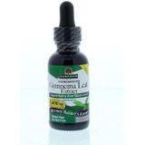 Natures Answer - Gymnema Extract - Alcoholvrij - 1000 mg - Fytotherapie