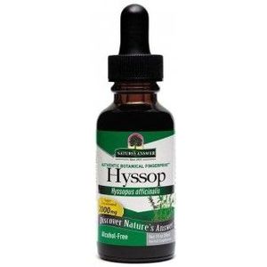 Natures Answer - Hyssop Extract - Alcoholvrij - 2000 mg - Fytotherapie