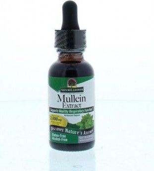 Mullein (Koningskaars) Extract Alcoholvrij – Nature's Answer