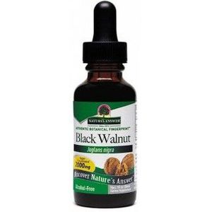 Natures Answer - Zwarte Walnoot & Artemesia Extract - Alcoholvrij - 1 Units